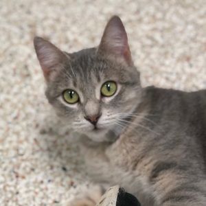 Meet your Posher, Nina